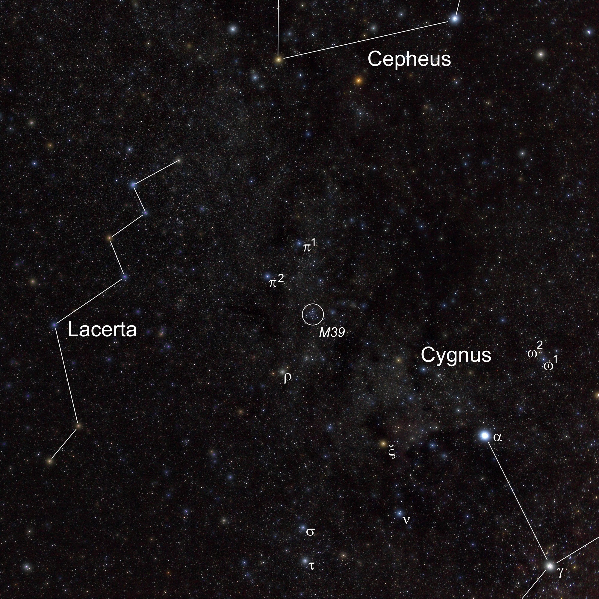 Der offene Sternhaufen M39 liegt im nordöstlichen Bereich des Sternbilds Schwan (Cygnus) im Band der Milchstraße