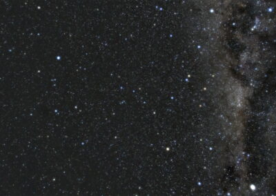 Der Pfau (lateinisch: Pavo) ist ein Sternbild am Südhimmel neben dem Band der Milchstraße